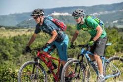 Cube bike experience XL